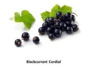 blackcurrant cordial
